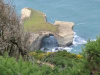 Albums/20060200-New Zealand 2006/20060314-Dunedin/75